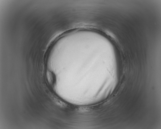 X0000080771267200701122046