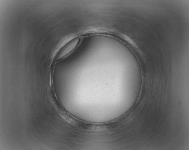 X0000080771269200701122046