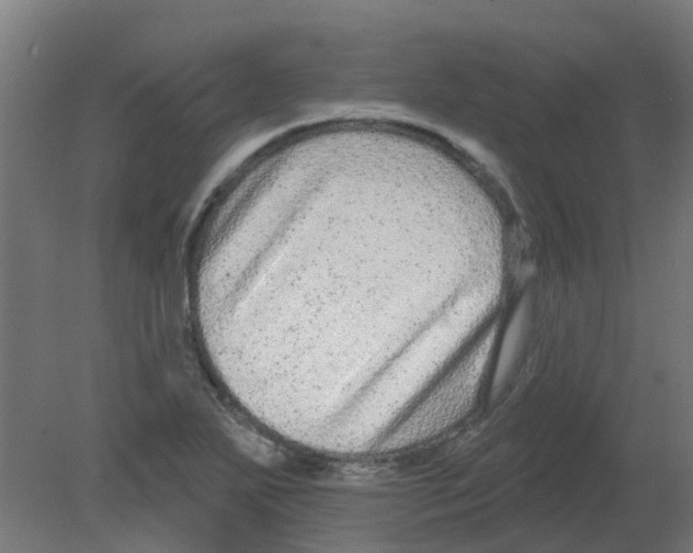 X0000080771271200701122046