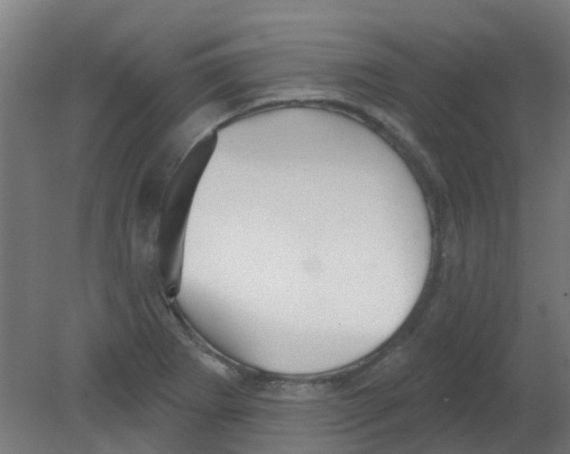 X0000080771273200701122046