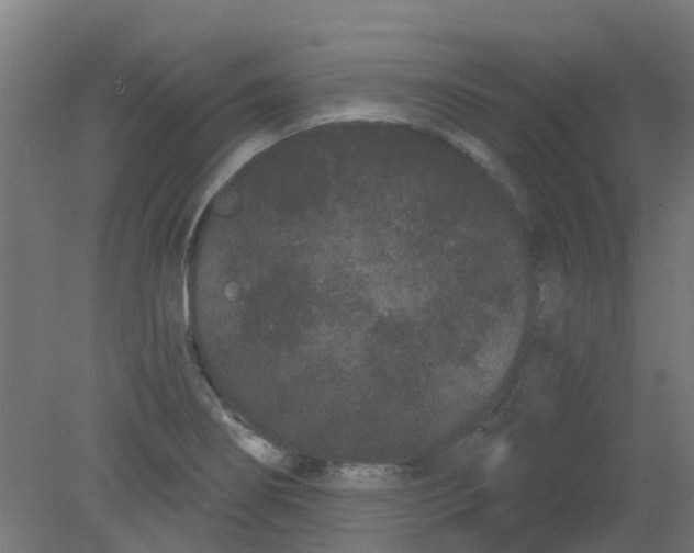 X0000080771274200701122046