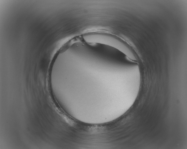 X0000080771277200701122046