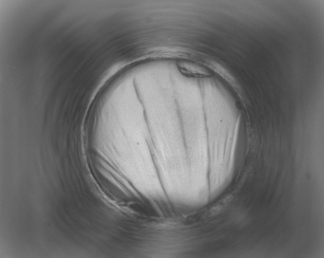 X0000080771283200701122046
