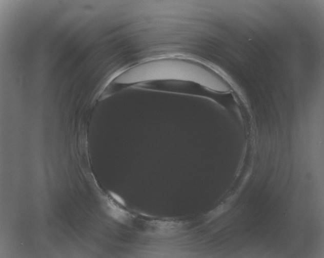 X0000080771289200701122046