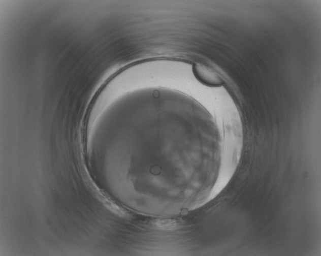X0000080771291200701122046
