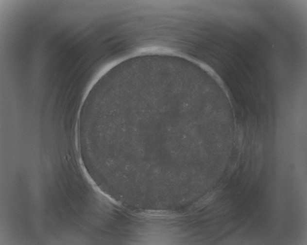X0000080771295200701122045