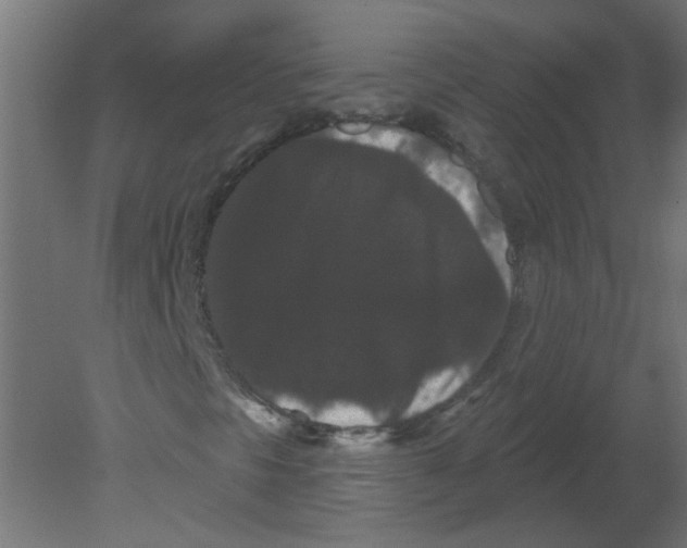 X0000080771297200701122045