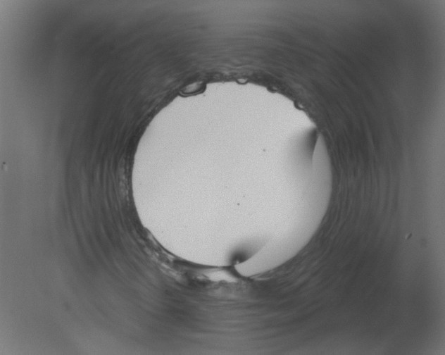 X0000080771298200701122045