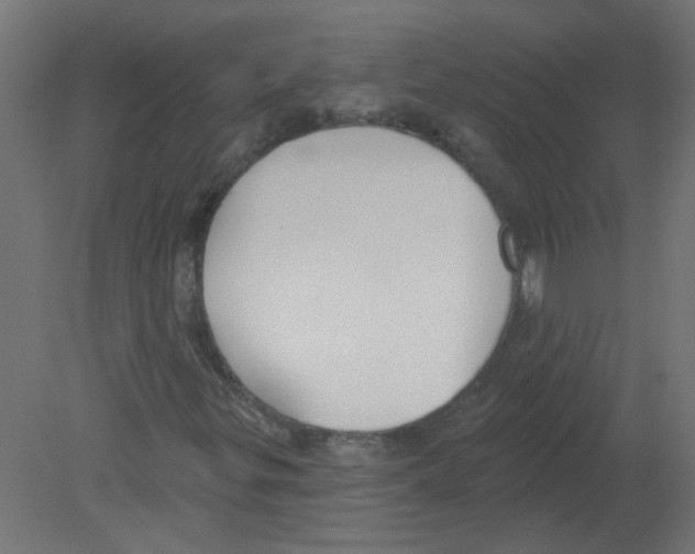 X0000080771299200701122045