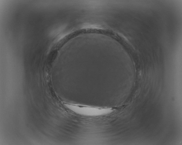 X0000080771303200701122045