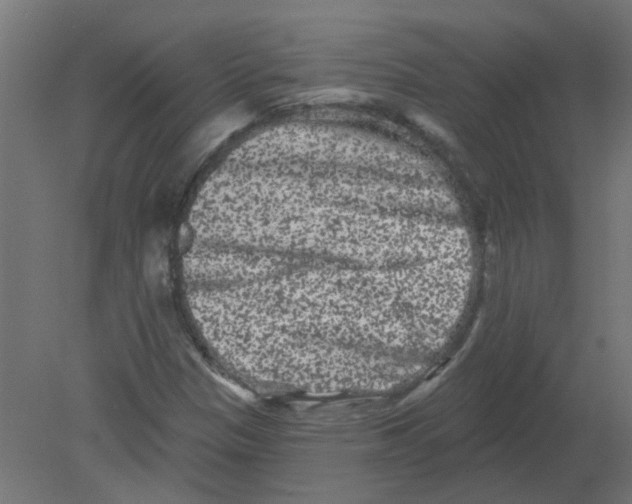 X0000080771305200701122045