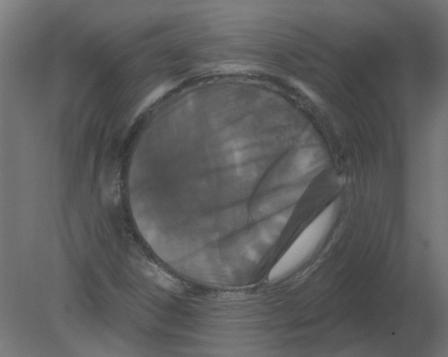 X0000080771306200701122045