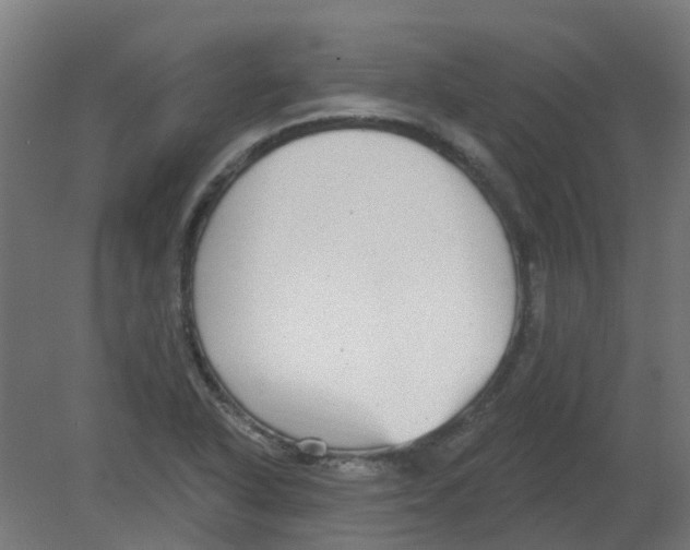 X0000080771318200701122045