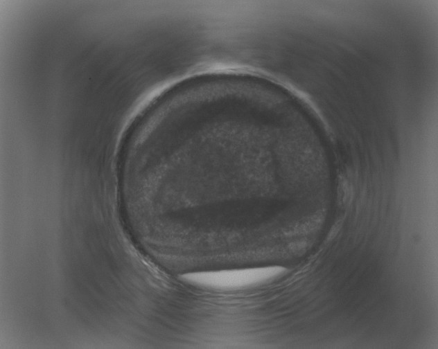 X0000080771319200701122045