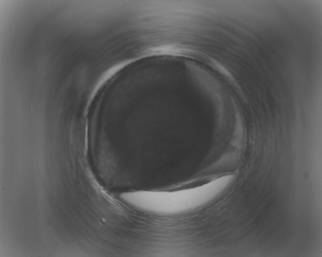 X0000080771323200701122045