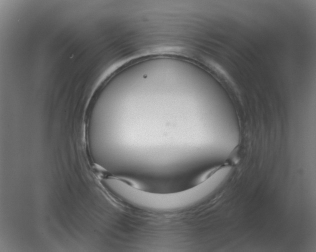 X0000080771324200701122045