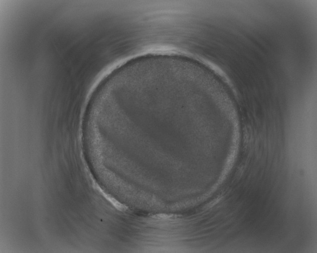 X0000080771327200701122045
