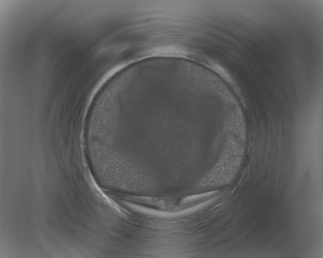 X0000080771331200701122045