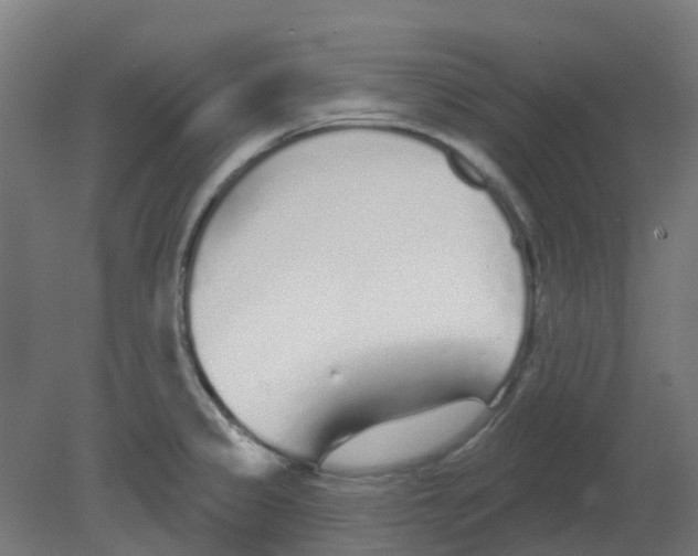 X0000080771333200701122045