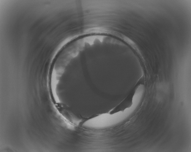 X0000080771334200701122045