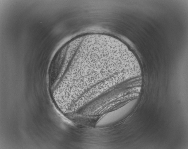 X0000080771335200701122045