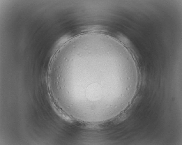 X0000080771338200701122045