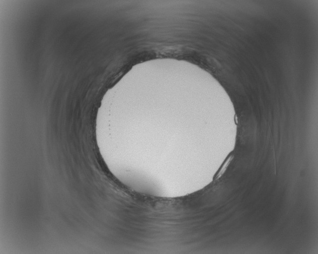 X0000080771345200701122045