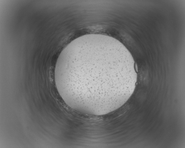 X0000080771346200701122045