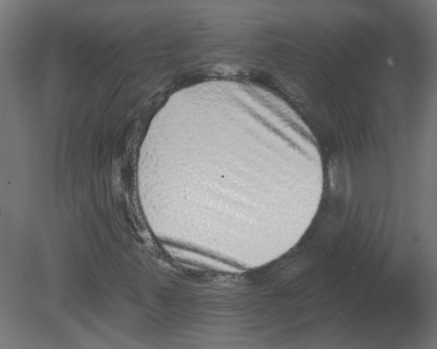 X0000080771347200701122045