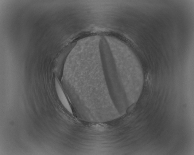 X0000080771348200701122045