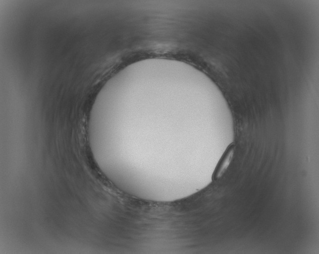 X0000080771349200701122045