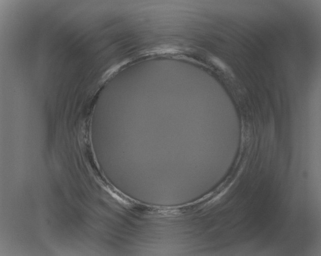X0000080771353200701122044
