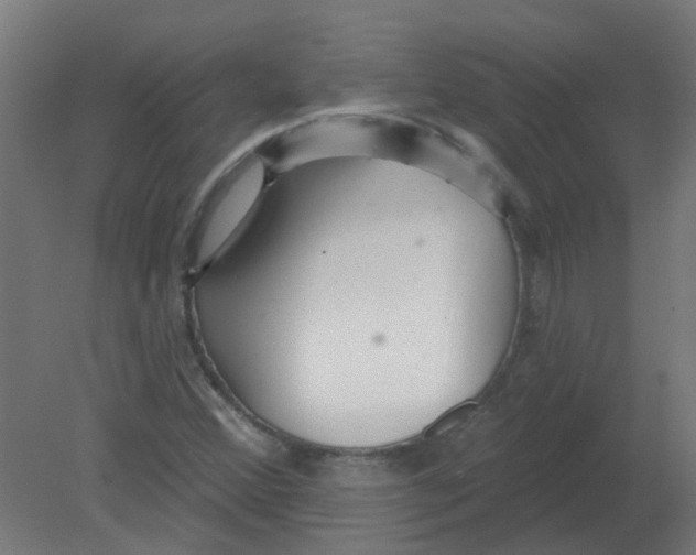 X0000080771356200701122044