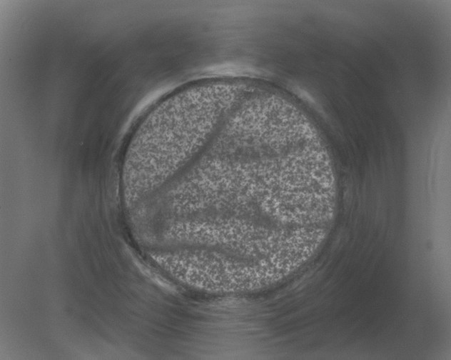 X0000080771358200701122044