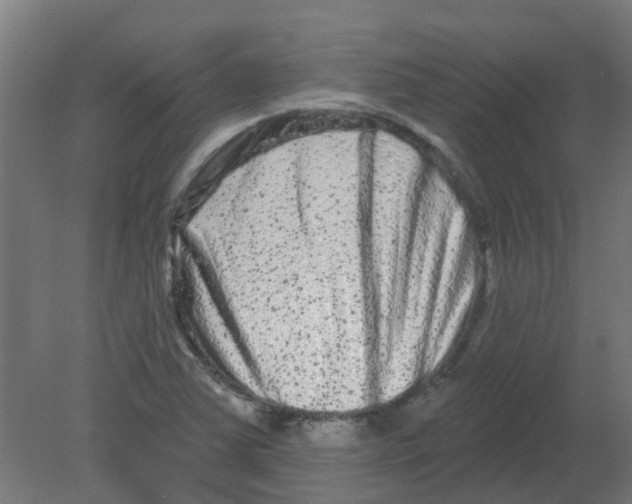X0000080771363200701122044