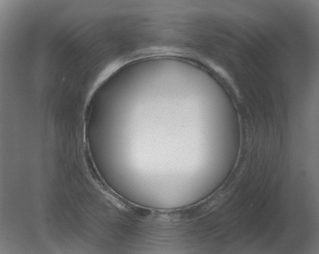 X0000080771365200701122044