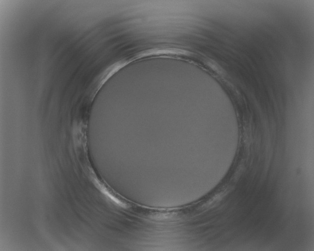 X0000080771369200701122044