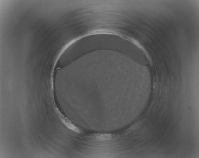 X0000080771372200701122044
