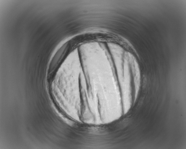 X0000080771379200701122044