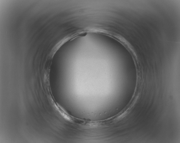 X0000080771385200701122044