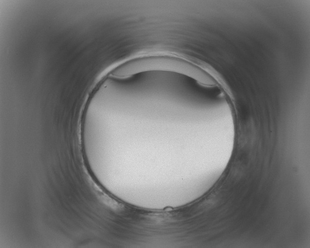 X0000080771388200701122044