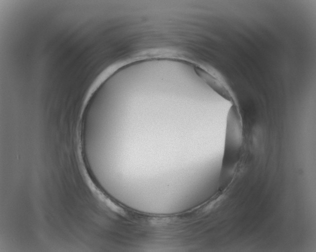 X0000080771389200701122044