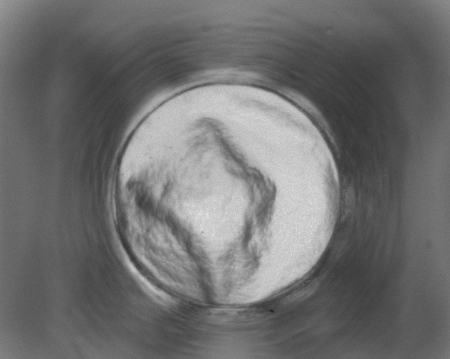 X0000080771391200701122044