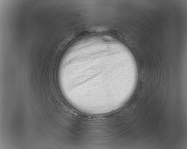 X0000080771393200701122043