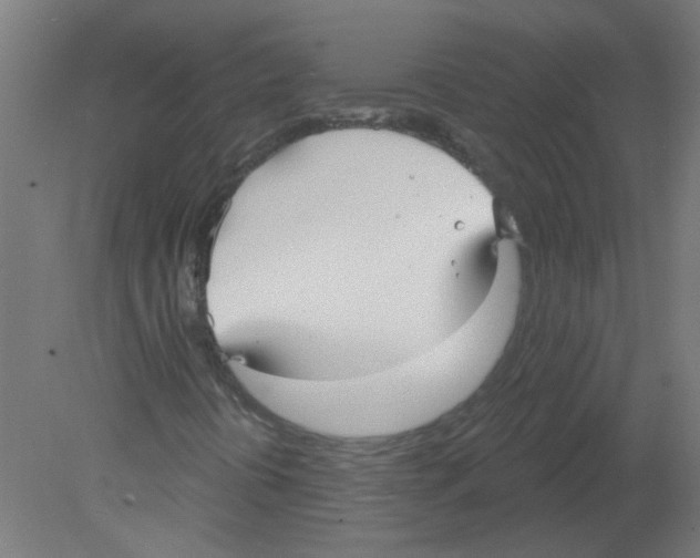 X0000080771394200701122043