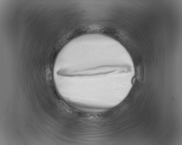 X0000080771395200701122043