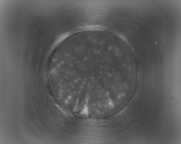 X0000080771405200701122043