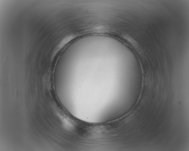 X0000080771410200701122043