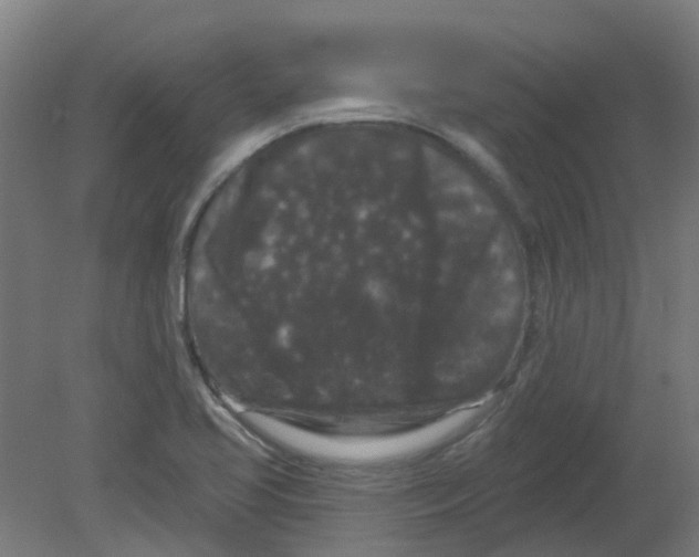 X0000080771413200701122043