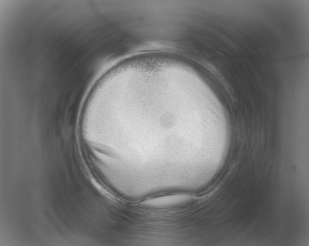 X0000080771421200701122043